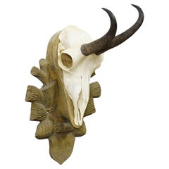 Vintage Black Forest Chamois Trophy on Wooden Plaque, Germany 1960s