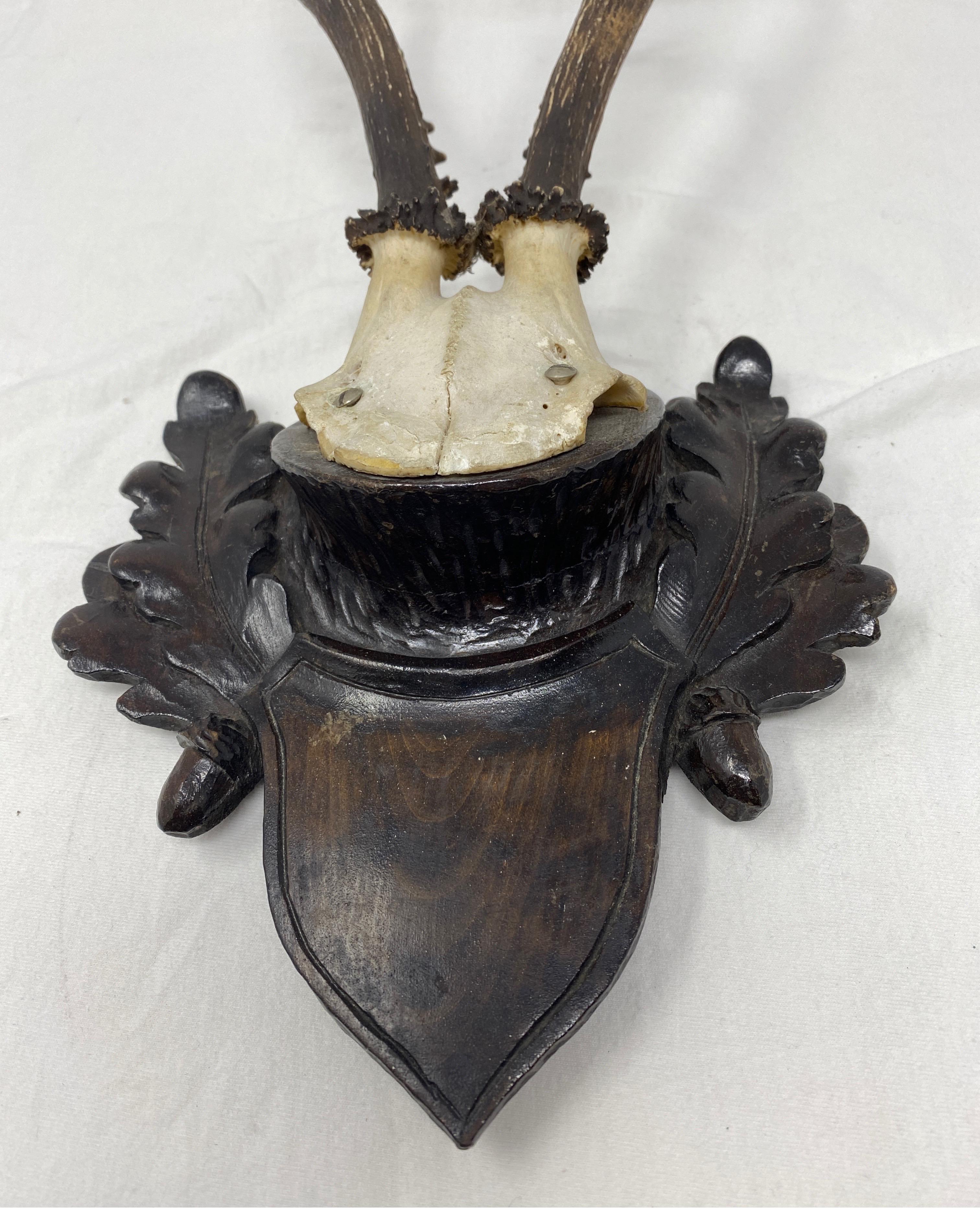Vintage Black Forest deer antler trophy on hand carved, Black Forest wooden plaque. A nice addition to your hunters lodge or just to display in your home.