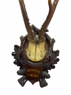 Vintage Black Forest Deer Antler Trophy on Wood Carved Plaque, Austria, 1937