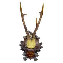 Vintage Trophée en bois de cerf de la Forêt Noire sur plaque en bois sculpté:: Autriche:: 1937