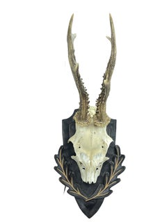 Vintage Black Forest Deer Antler Trophy on Wood Carved Plaque, Austria, 1970s