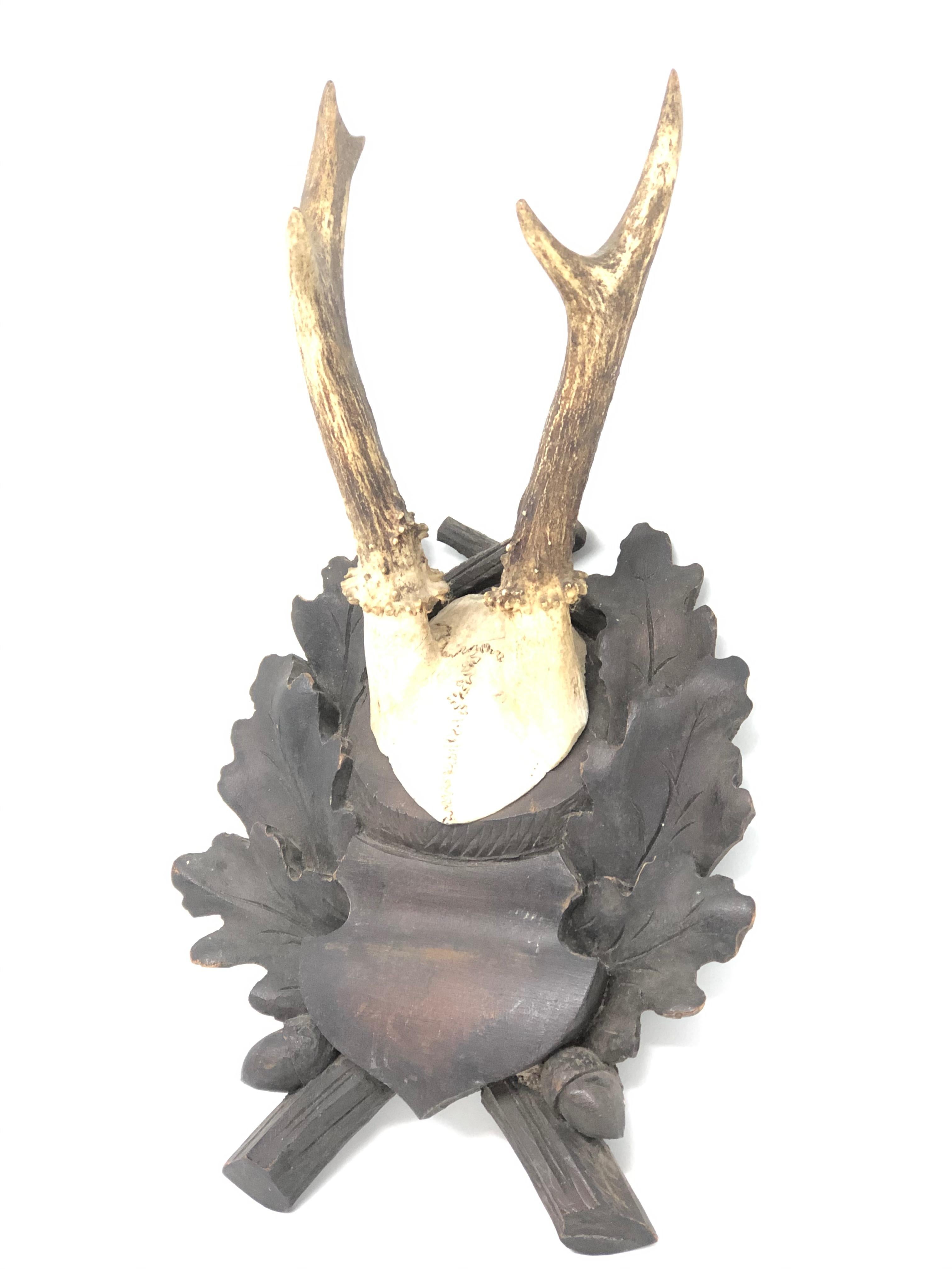 A beautiful vintage black forest deer antler trophy on hand carved, black forest wooden plaque. It measures approximate 11