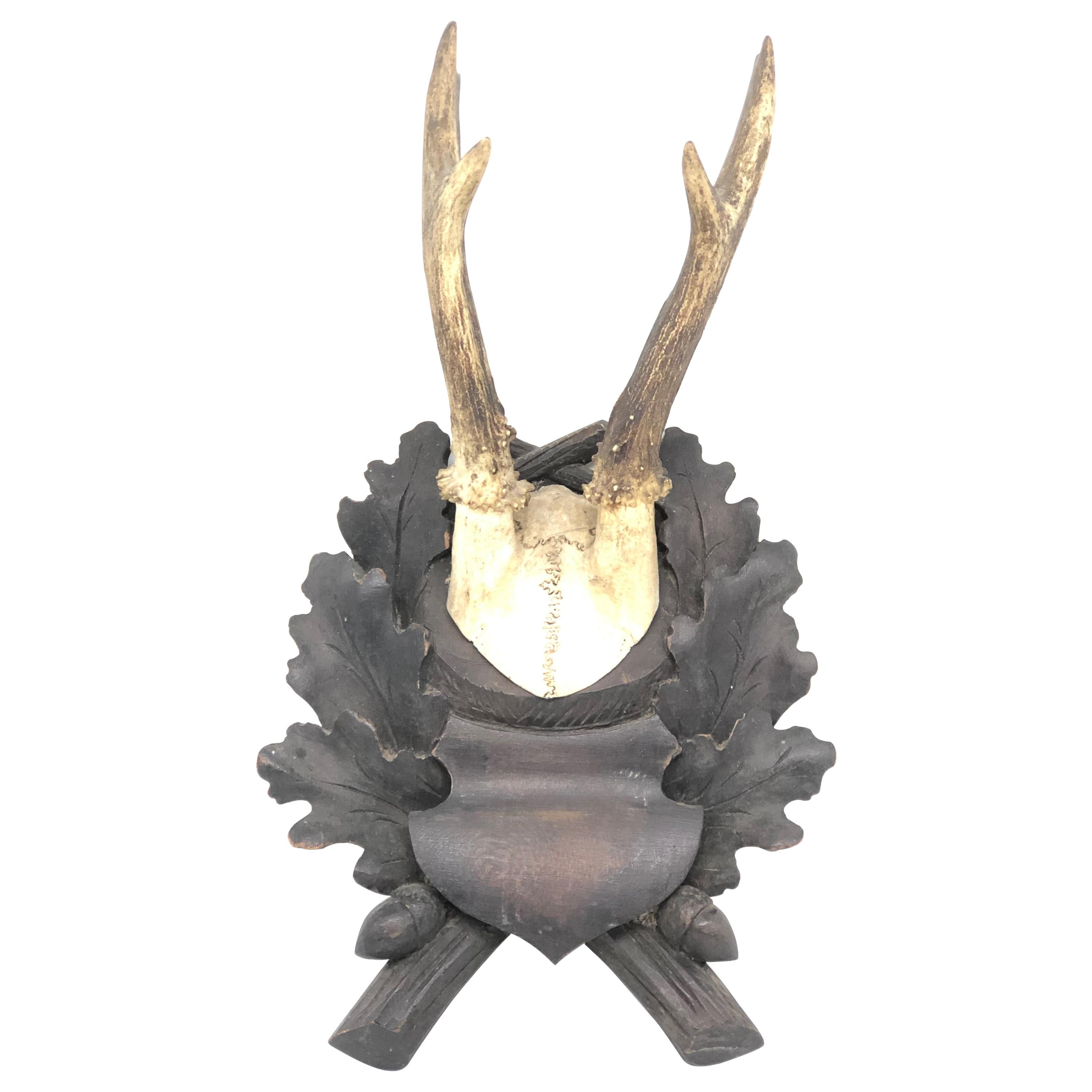 Vintage Black Forest Deer Antler Trophy on Wood Carved Plaque, German, 1900s