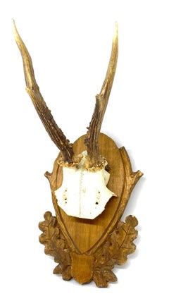 Vintage Black Forest Deer Antler Trophy on Wood Carved Plaque, German, 1930s