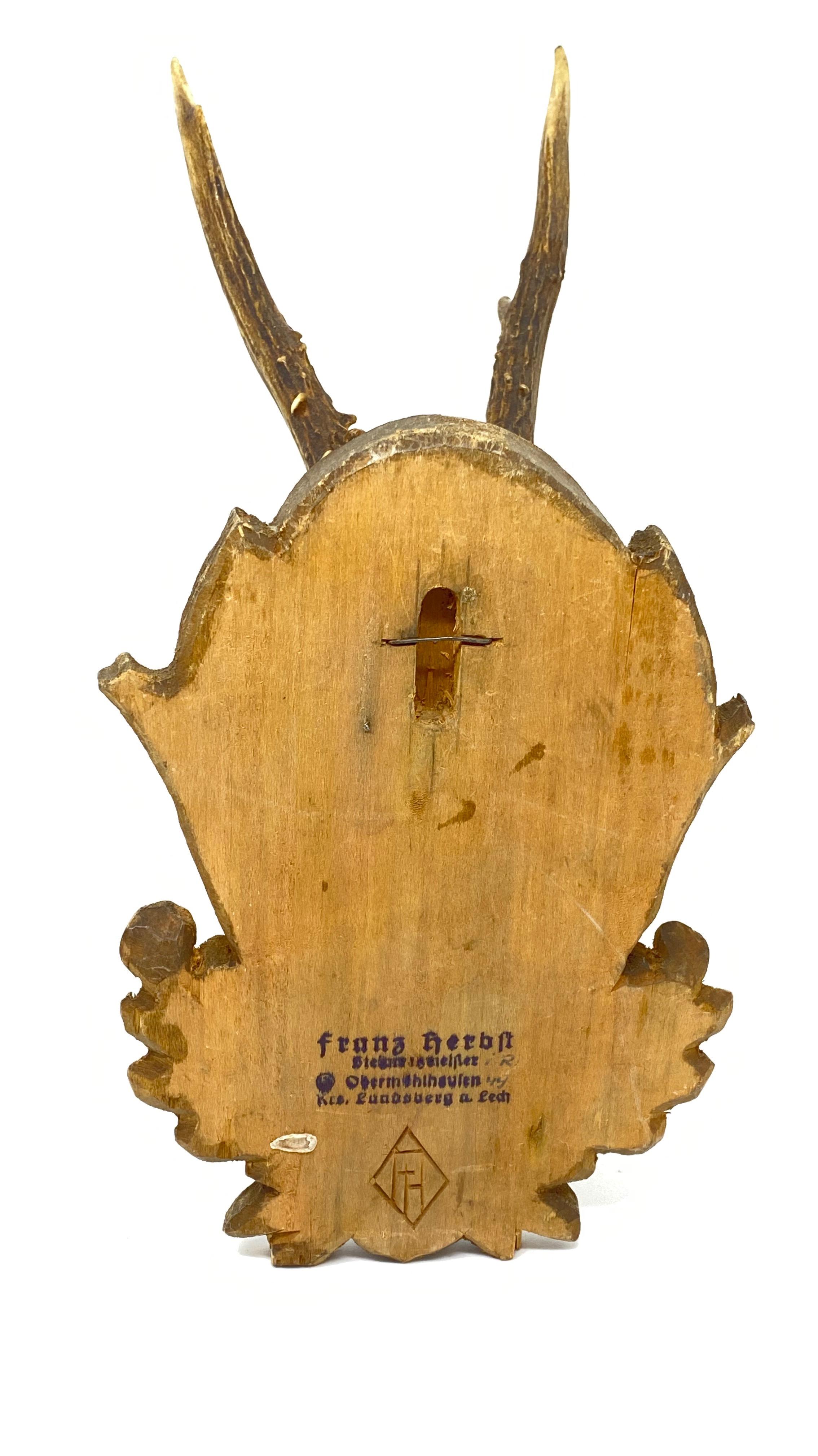 Vintage Black Forest Deer Antler Trophy on Wood Carved Plaque, German, 1930s In Good Condition In Nuernberg, DE