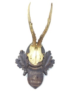 Vintage Black Forest Deer Antler Trophy on Wood Carved Plaque, German, 1933