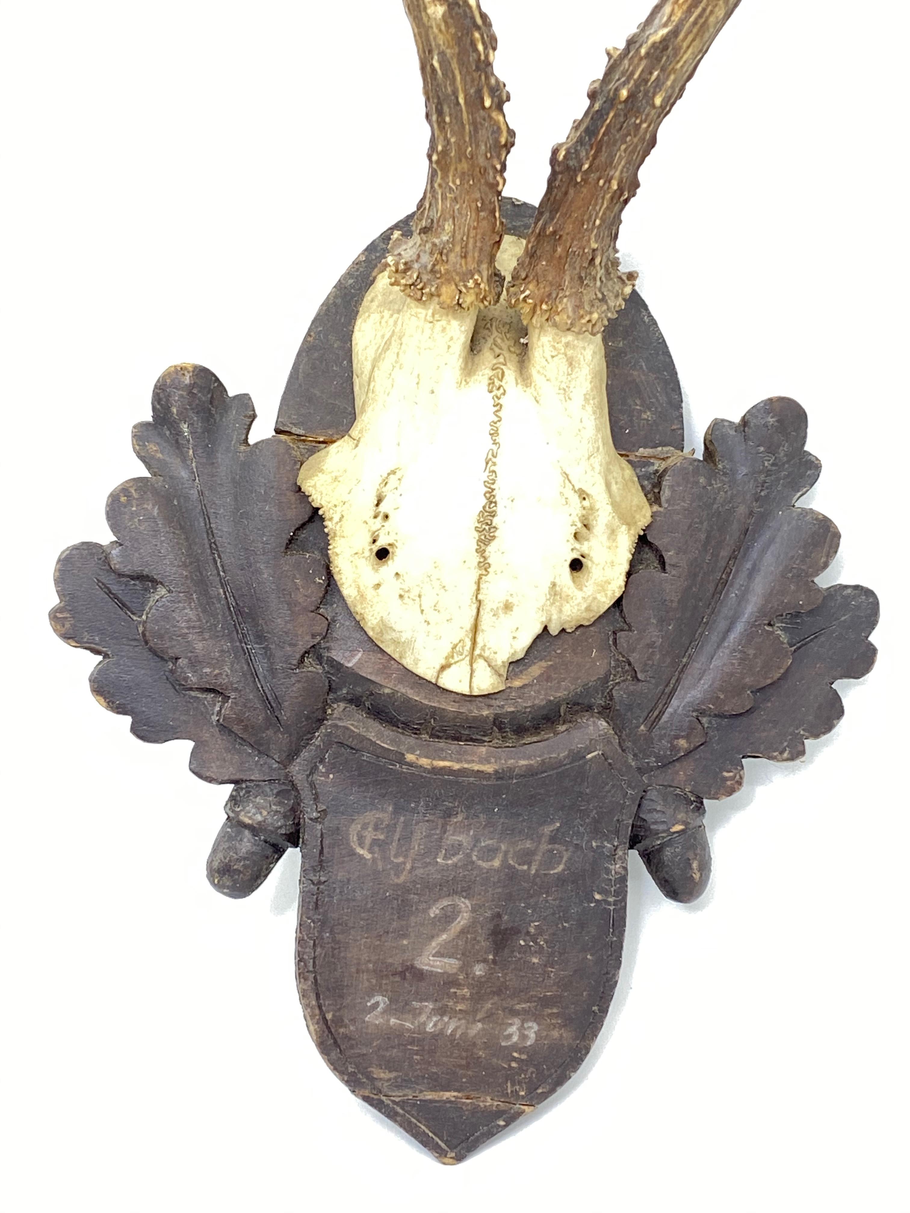 Hand-Carved Vintage Black Forest Deer Antler Trophy on Wood Carved Plaque, German, 1933