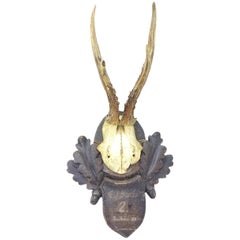 Vintage Black Forest Deer Antler Trophy on Wood Carved Plaque, German, 1933 Vintage Black Forest Deer Antler Trophy on Wood Carved Plaque, German, 1933