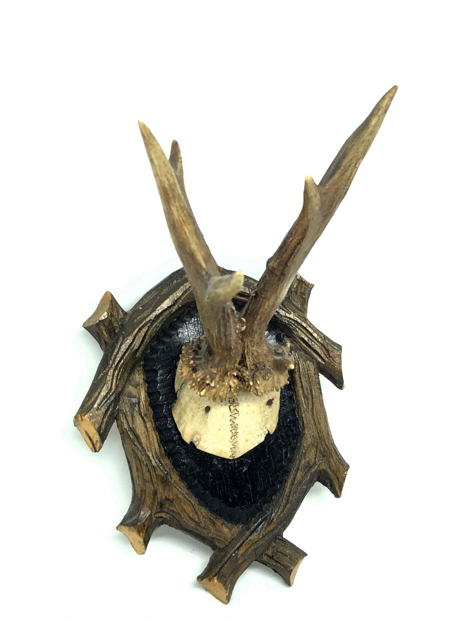 Hand-Carved Vintage Black Forest Deer Antler Trophy on Wood Carved Plaque, German, 1950s