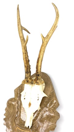 Vintage Black Forest Deer Antler Trophy on Wood Carved Plaque, German, 1960s