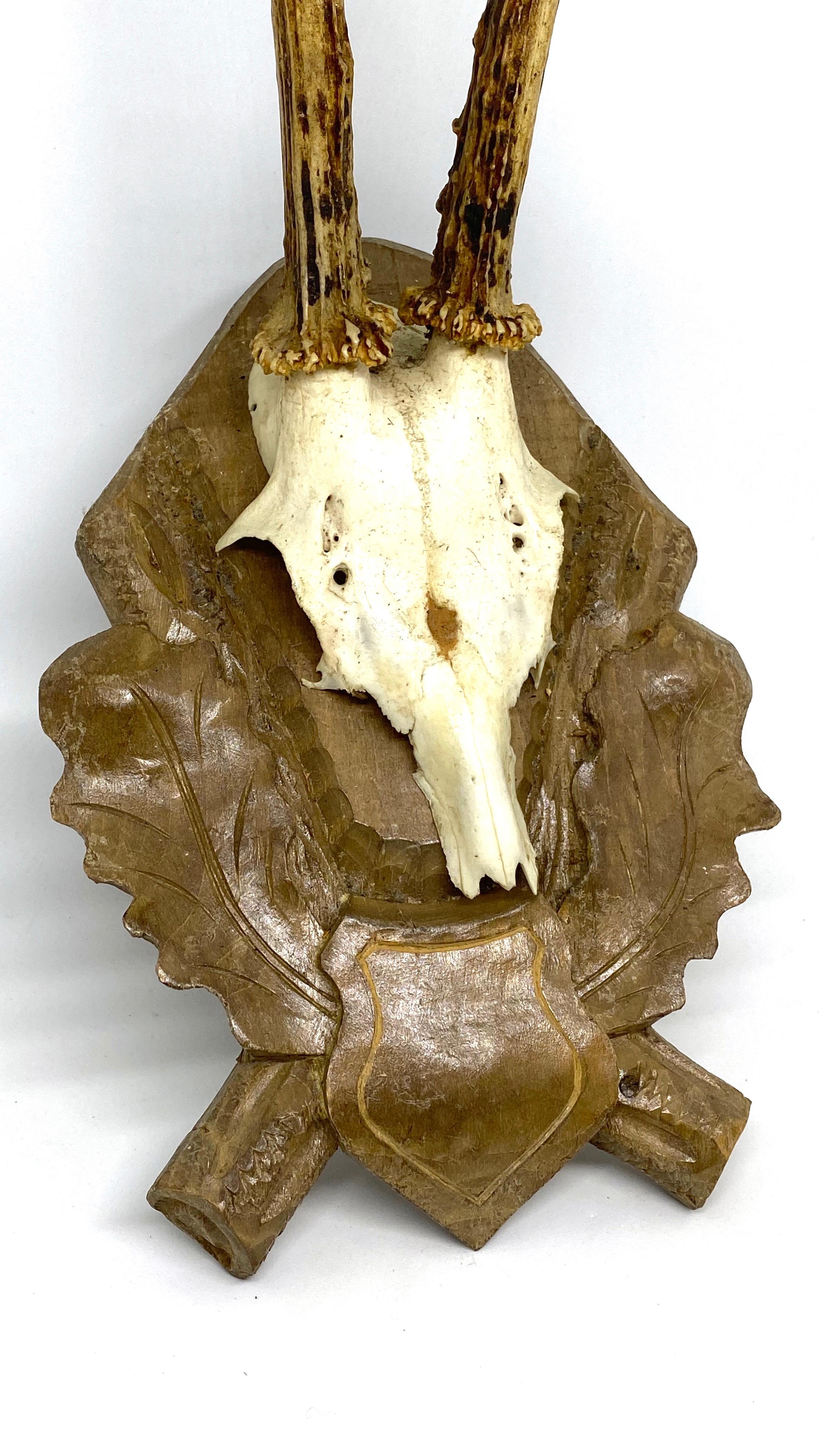 Hand-Carved Vintage Black Forest Deer Antler Trophy on Wood Carved Plaque, German, 1960s For Sale