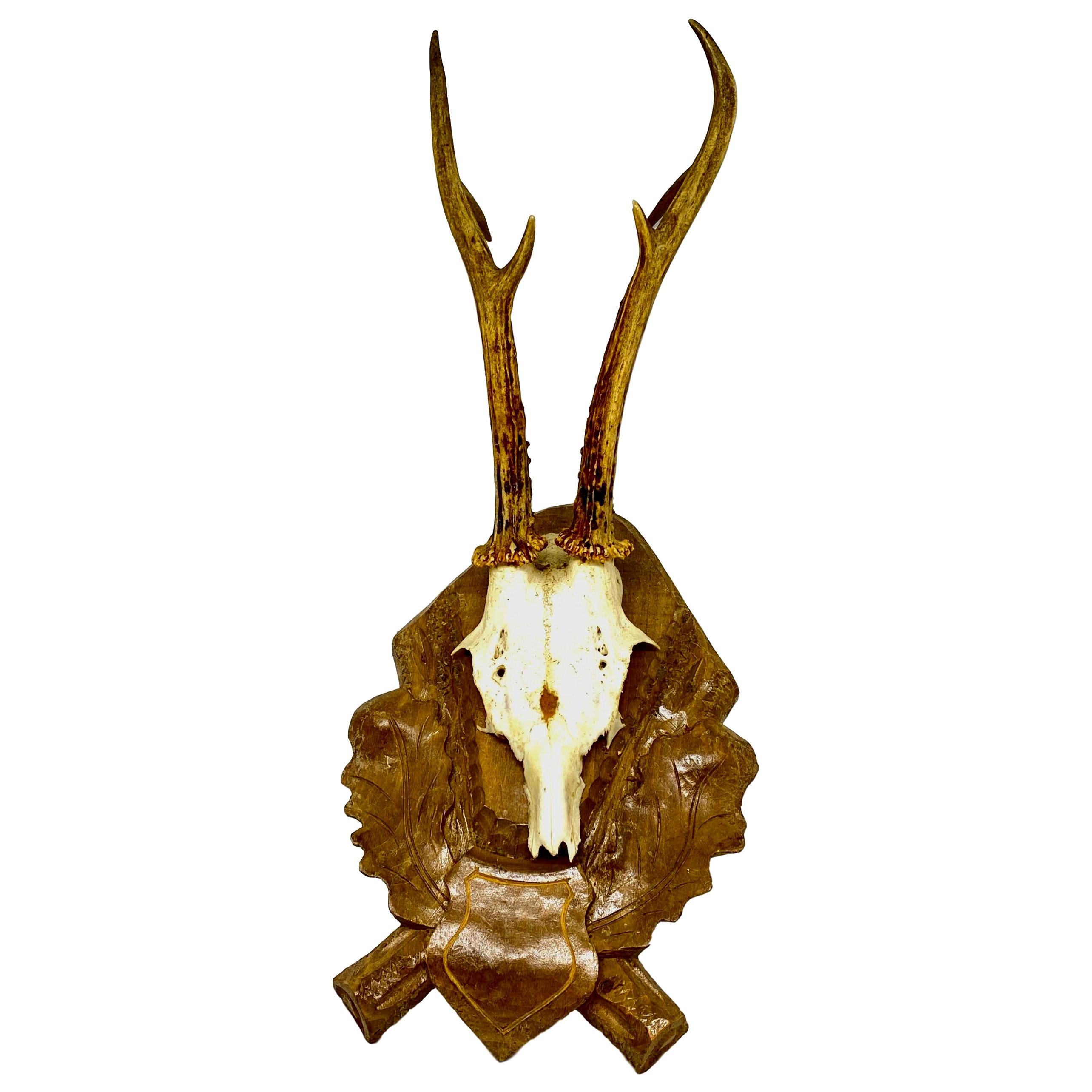 Vintage Black Forest Deer Antler Trophy on Wood Carved Plaque, German, 1960s