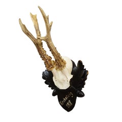 Vintage Black Forest Red Deer Trophy on Carved Plaque, Germany 1968