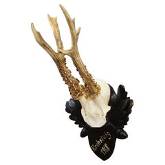 Vintage Black Forest Red Deer Trophy on Carved Plaque, Germany 1968