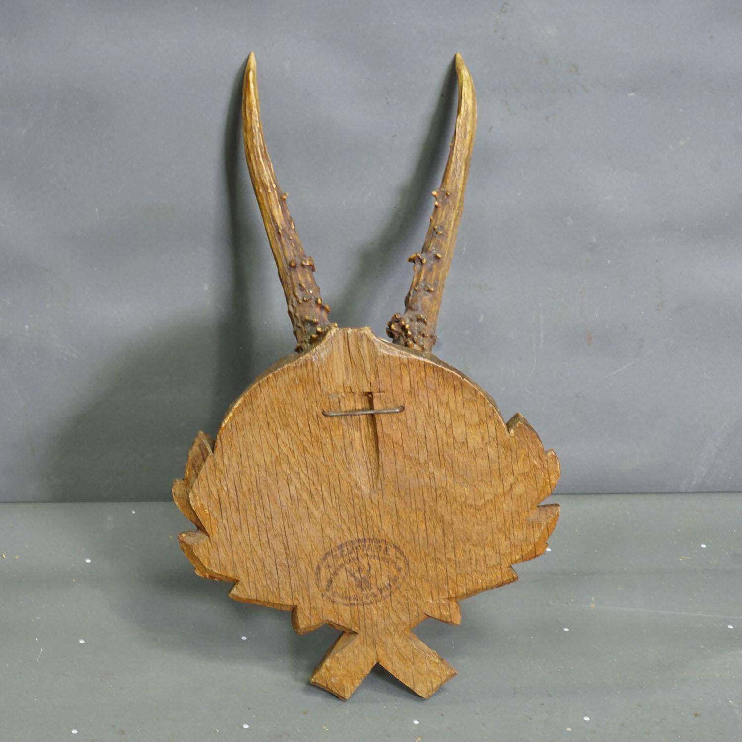 Vintage Black Forest Reh-Trophäe auf geschnitzter Plakette 1950er Jahre im Zustand „Gut“ im Angebot in Berghuelen, DE