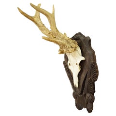 Vintage Black Forest Roe Deer Trophy on Carved Plaque, Germany 1940s
