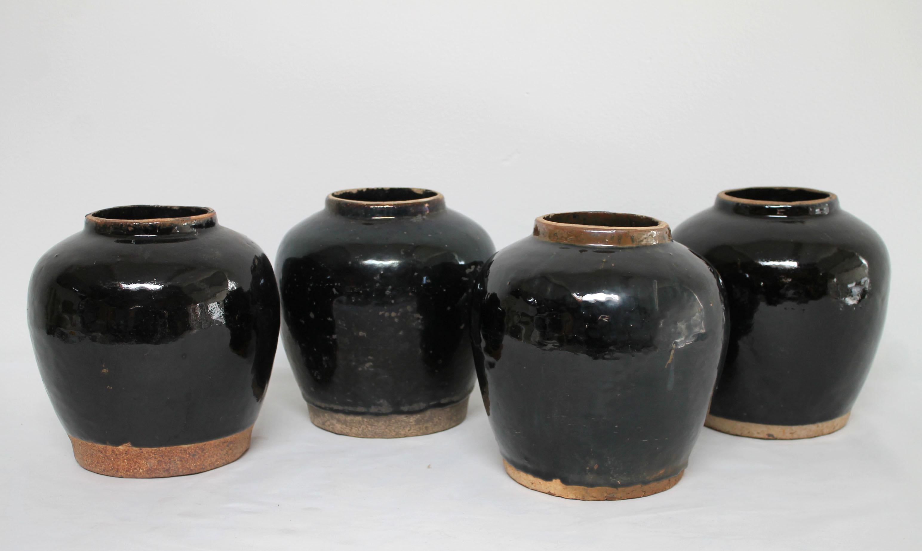 20th Century Vintage Black Glazed Terracotta Pot