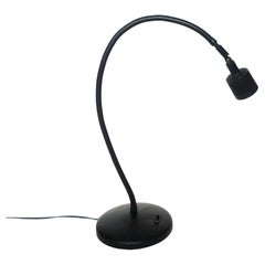 Used Black Sunnex Gooseneck Desk Lamp