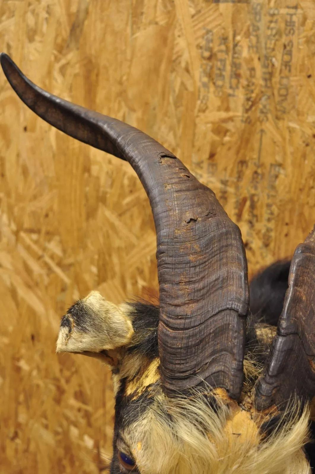 20th Century Vintage Black & Tan Catalina Longhorn Goat Ram Shoulder Mount Wall Taxidermy For Sale