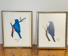 Coppia di dipinti vintage “Blue Birds of Costa Rica” in tecnica mista, firmati e incorniciati
