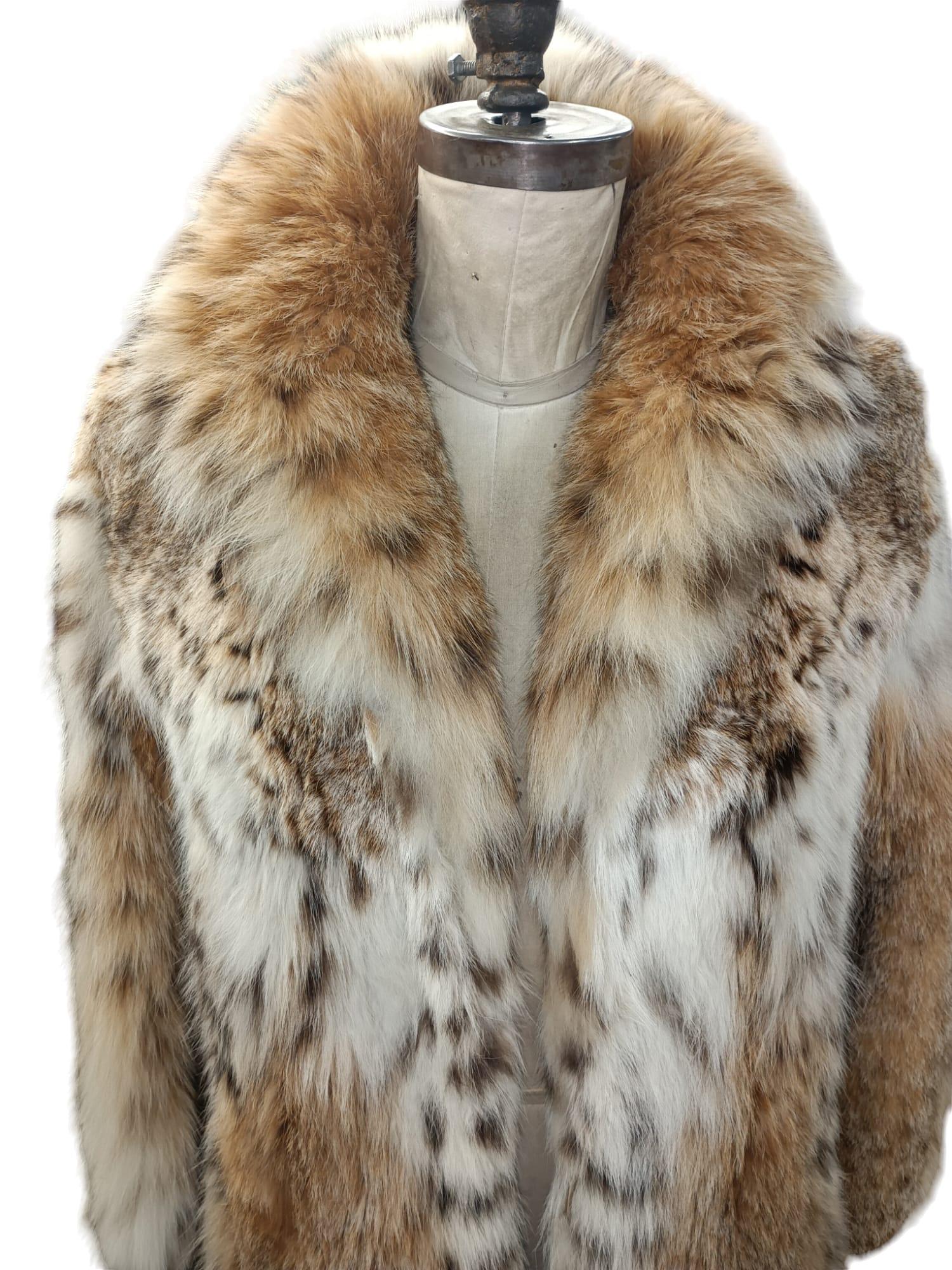 DESCRIPTION : Manteau vintage en fourrure de lynx taille 4-6

Col tailleur, manches cloches, peaux souples, belle fourrure fraîche, fermoirs européens germaniques pour la fermeture, deux poches fendues, belles grandes peaux pleines en état