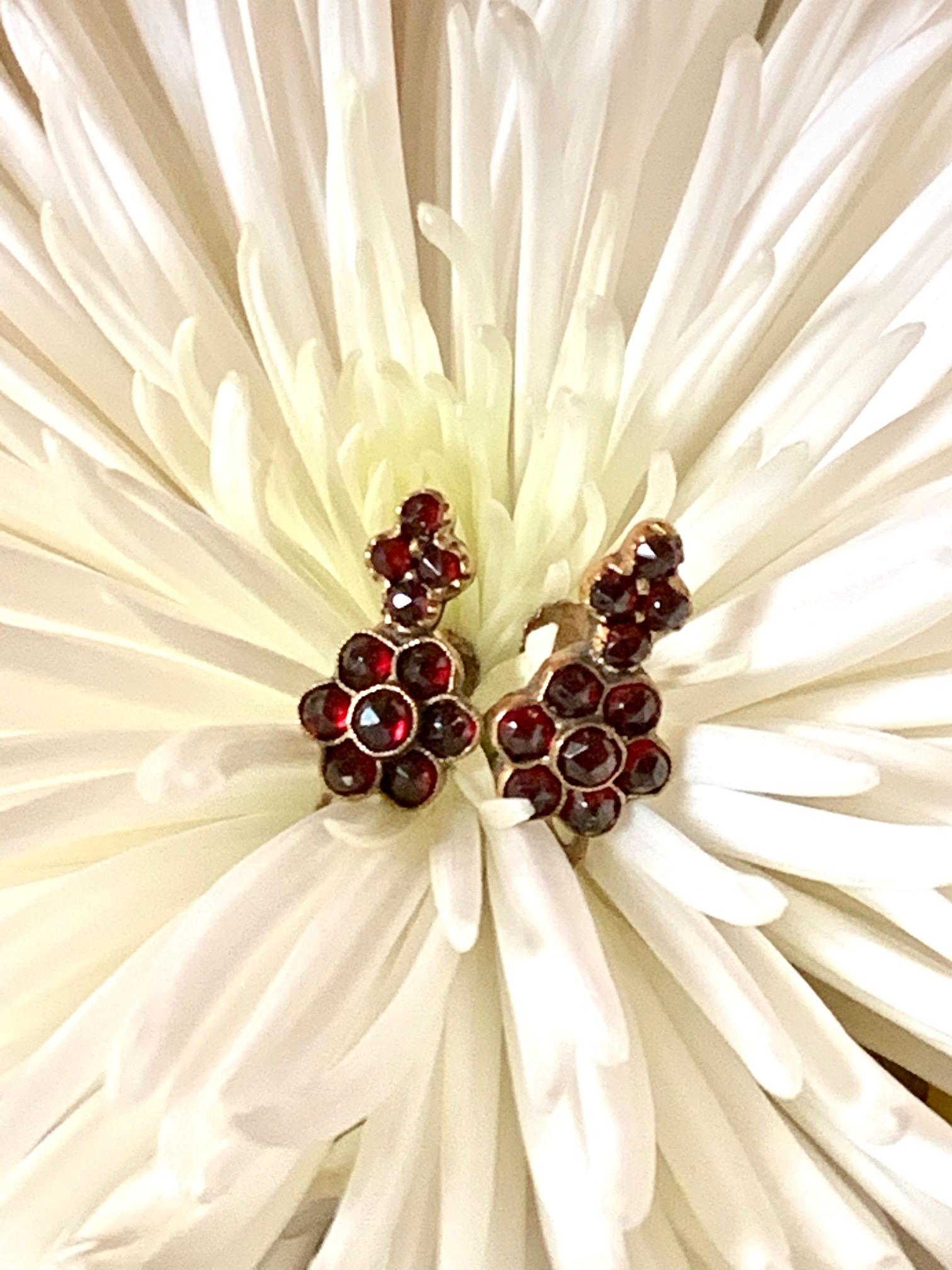 Diese hübschen:: böhmischen Granat-Cluster-Ohrringe im Vintage-Stil sind mit Gold gefüllt und haben Schraubverschlüsse. 

Sie sind gestempelt 