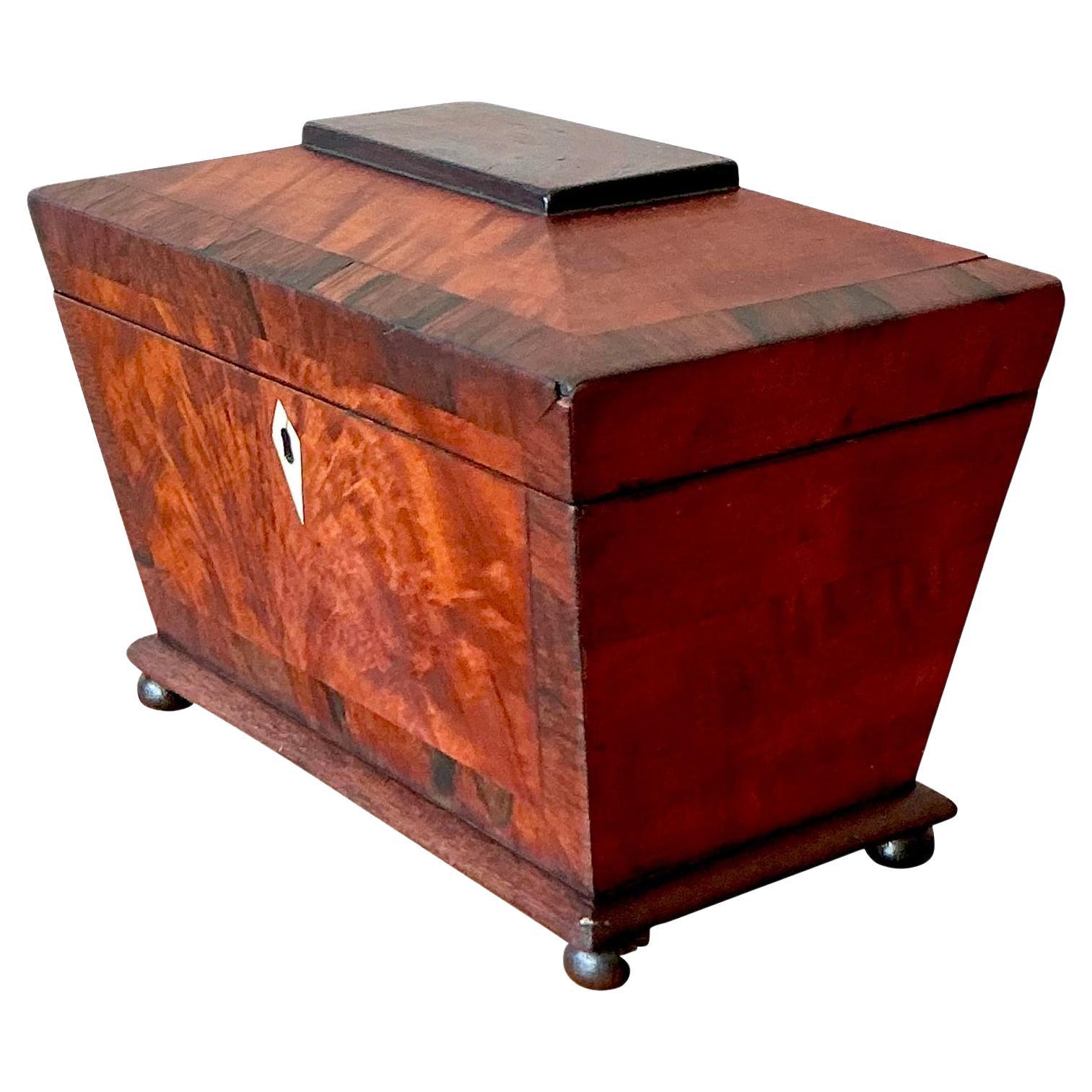 Vintage Boho 19. Jahrhundert Wurzelholz Box