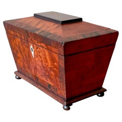 Vintage Boho 19th Century Burl Wood Box