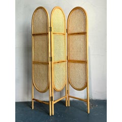 Vintage Boho Arched Cane Folding Screen