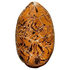 Vintage Boho Artisanal Pigmentierte Gips Scagliola Schildkröte Shell