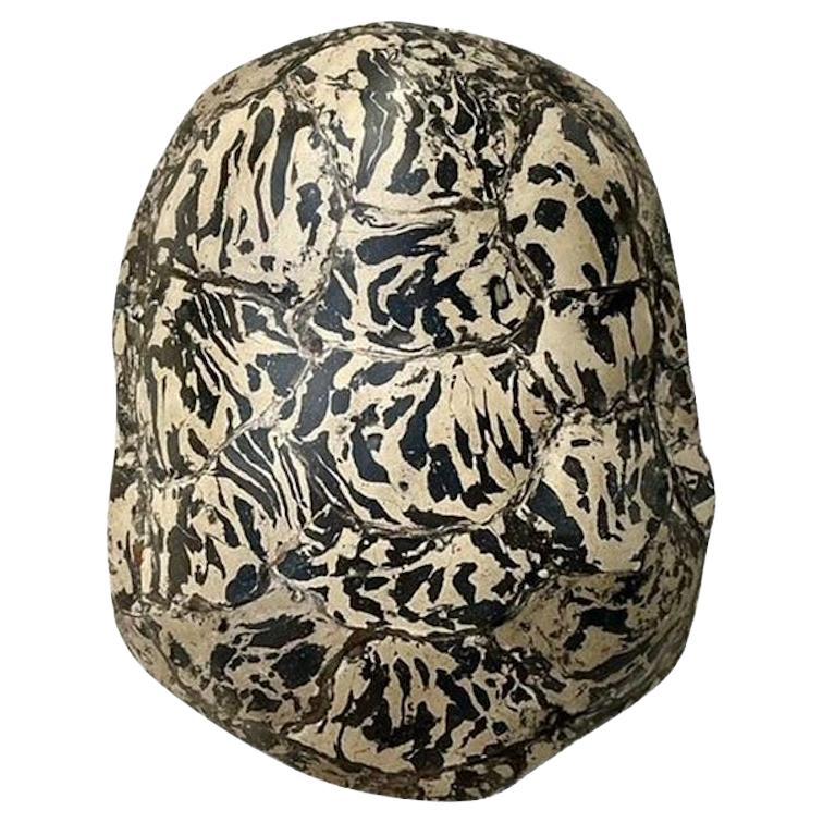 Écaille de tortue en plâtre pigmenté Vintage Boho Artisanal
