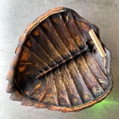 Vintage Boho Authentic Turtle Shell