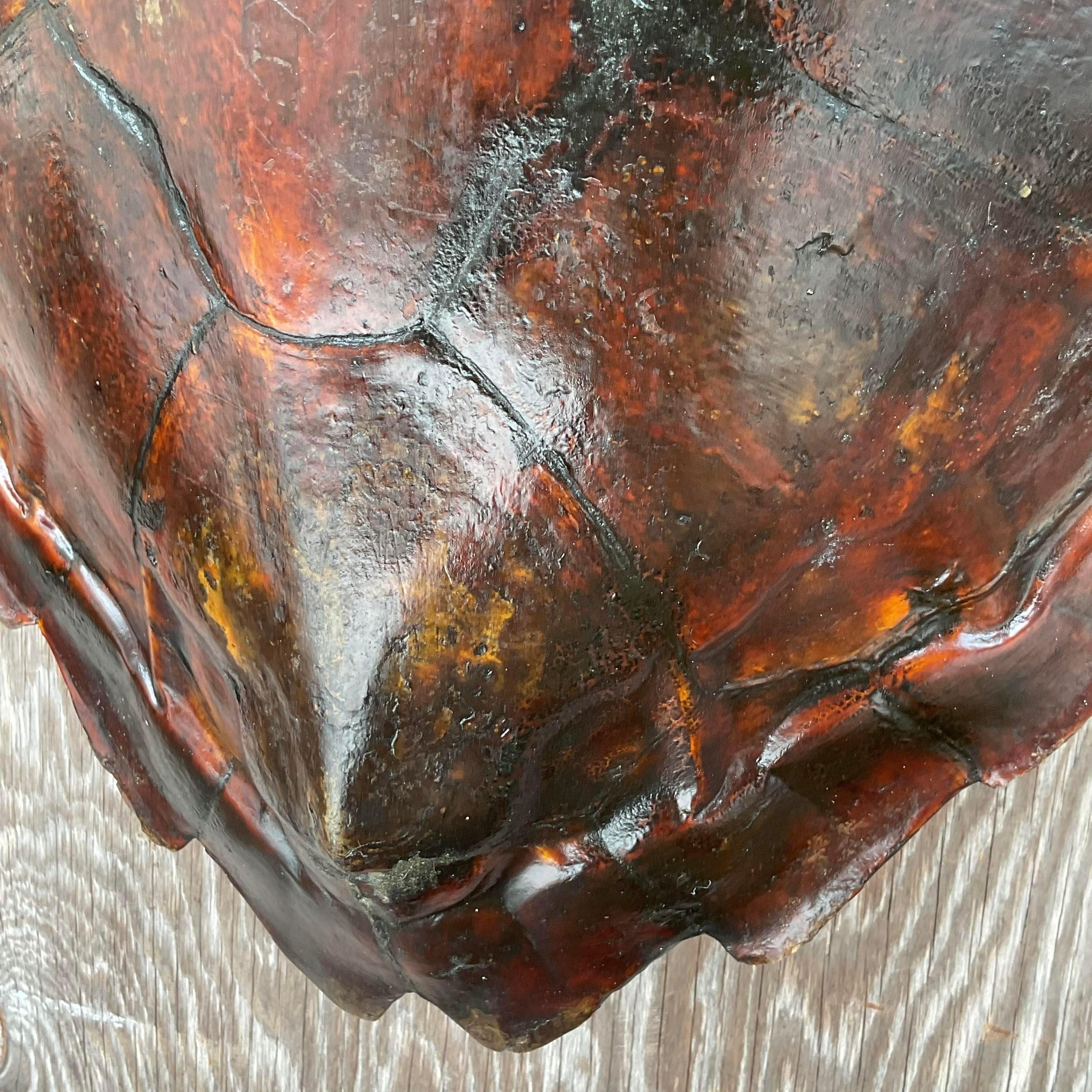 American Vintage Boho Authentic Turtle Shell