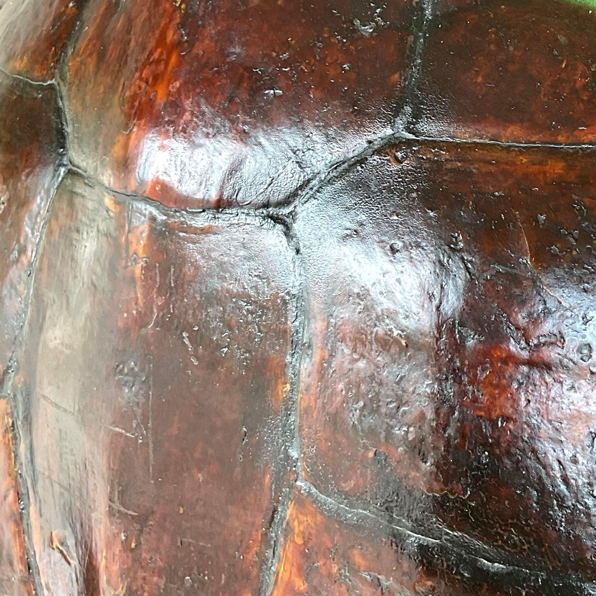 20th Century Vintage Boho Authentic Turtle Shell