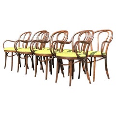 Chaises de salle à manger boho vintage en bois courbé d'après Thonet - lot de 8