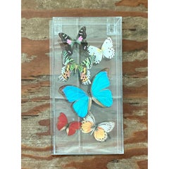 Vintage Boho Butterfly Box