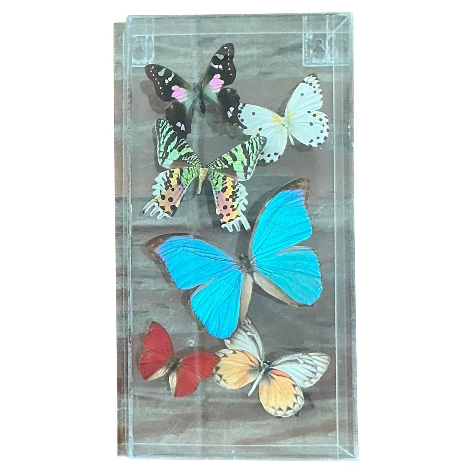 What is a butterfly box?