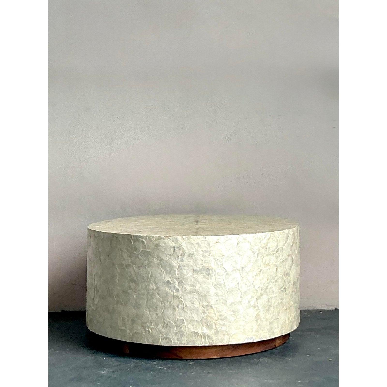 Découvrez l'allure enchanteresse de cette table basse vintage Boho Capiz Shell, une pièce qui apporte sans effort l'élégance côtière et la beauté naturelle dans votre espace de vie. Fabriquée à la main avec d'innombrables coquillages Capiz irisés,