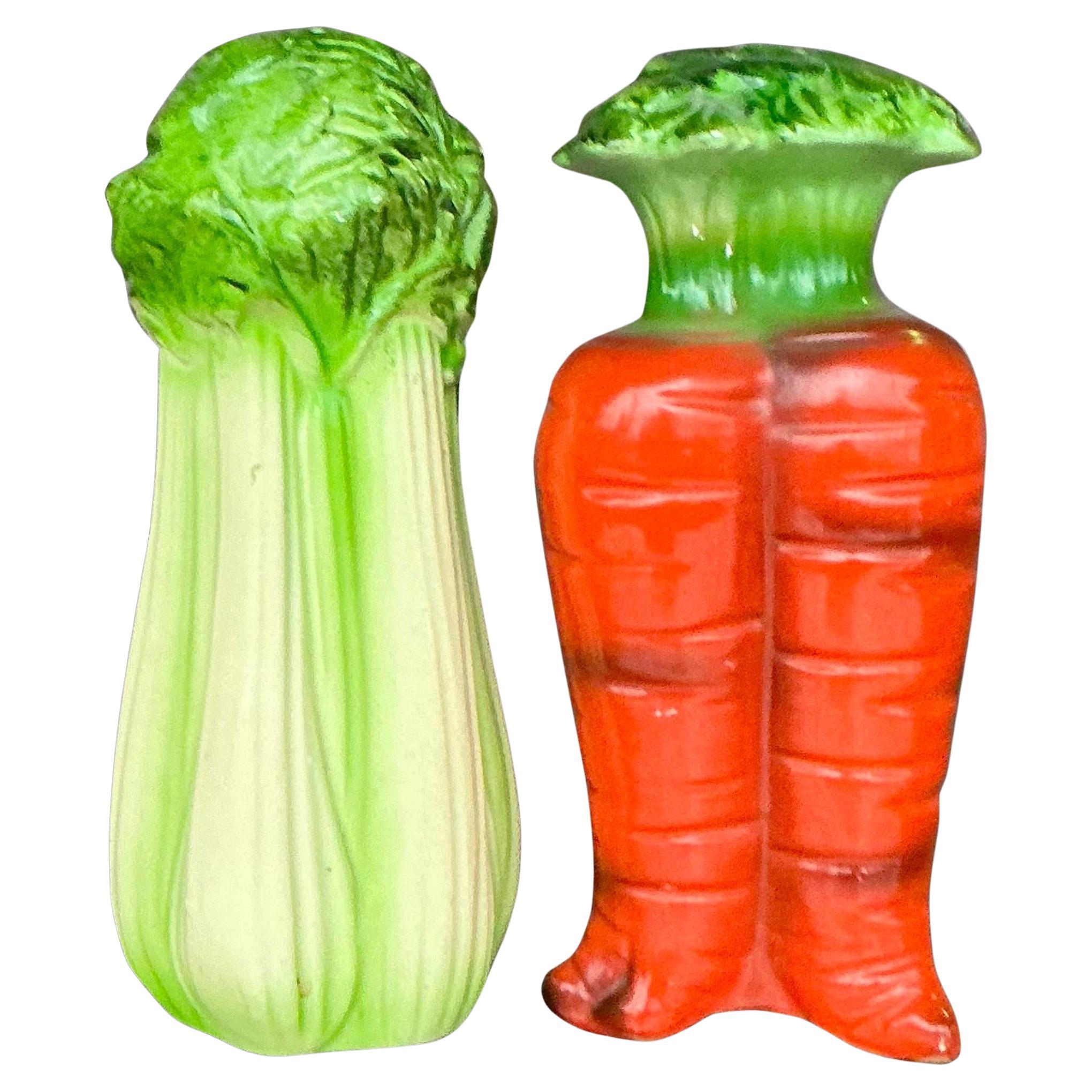 Vintage Boho Carrots and Celery Salt and Pepper Shaker Set