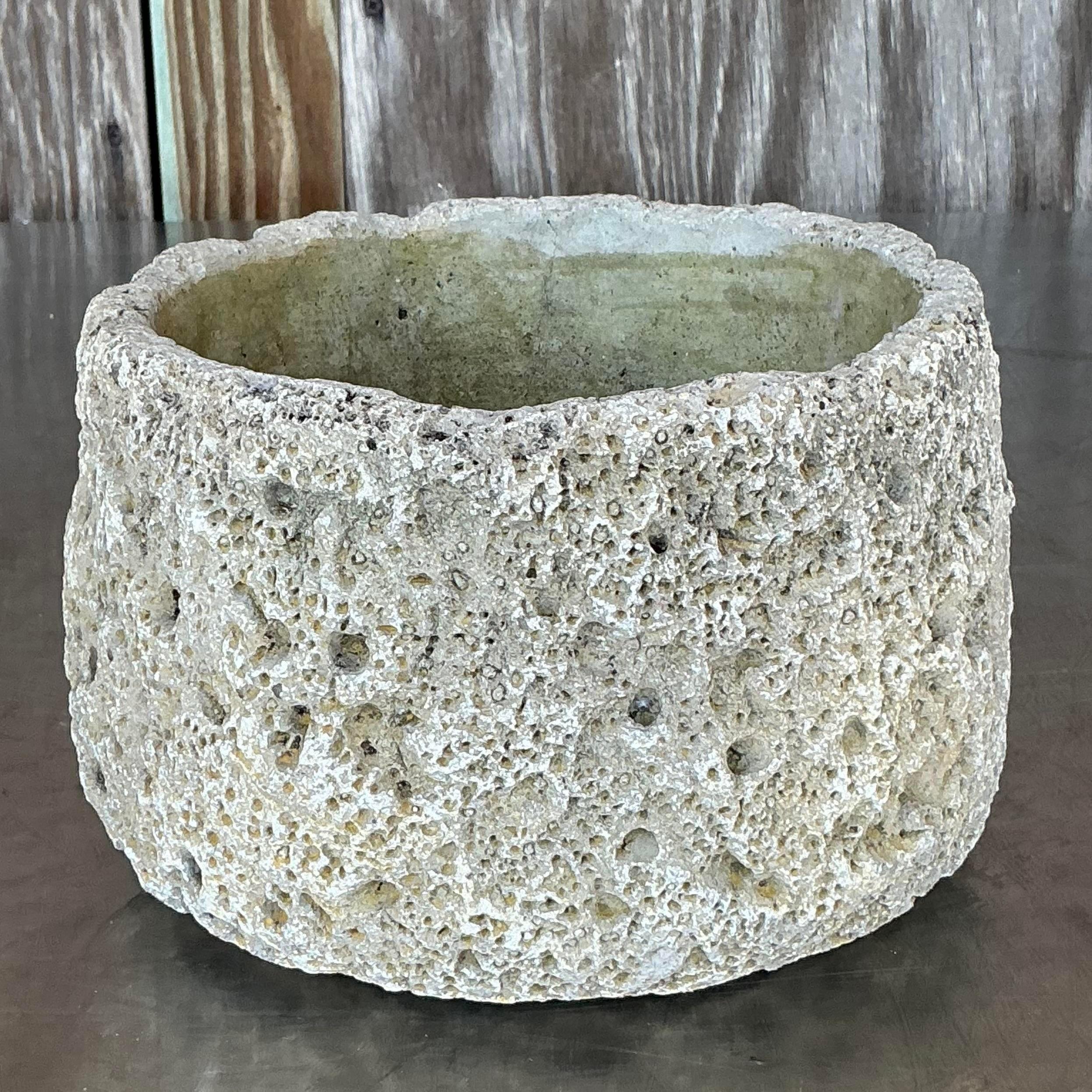 Jardinera Cráter de Cemento Fundido Vintage Boho Rústico en venta