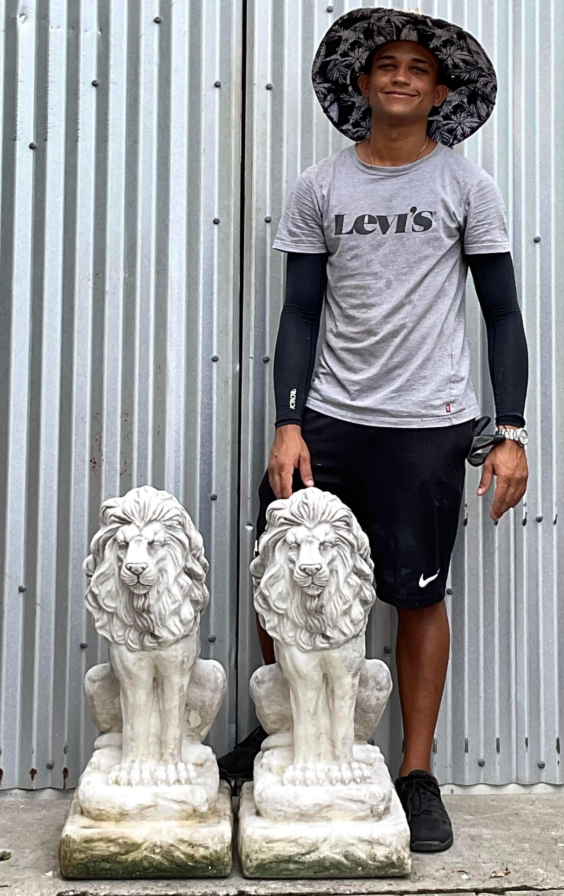 20ième siècle Statues de lion en ciment coulé - une paire en vente
