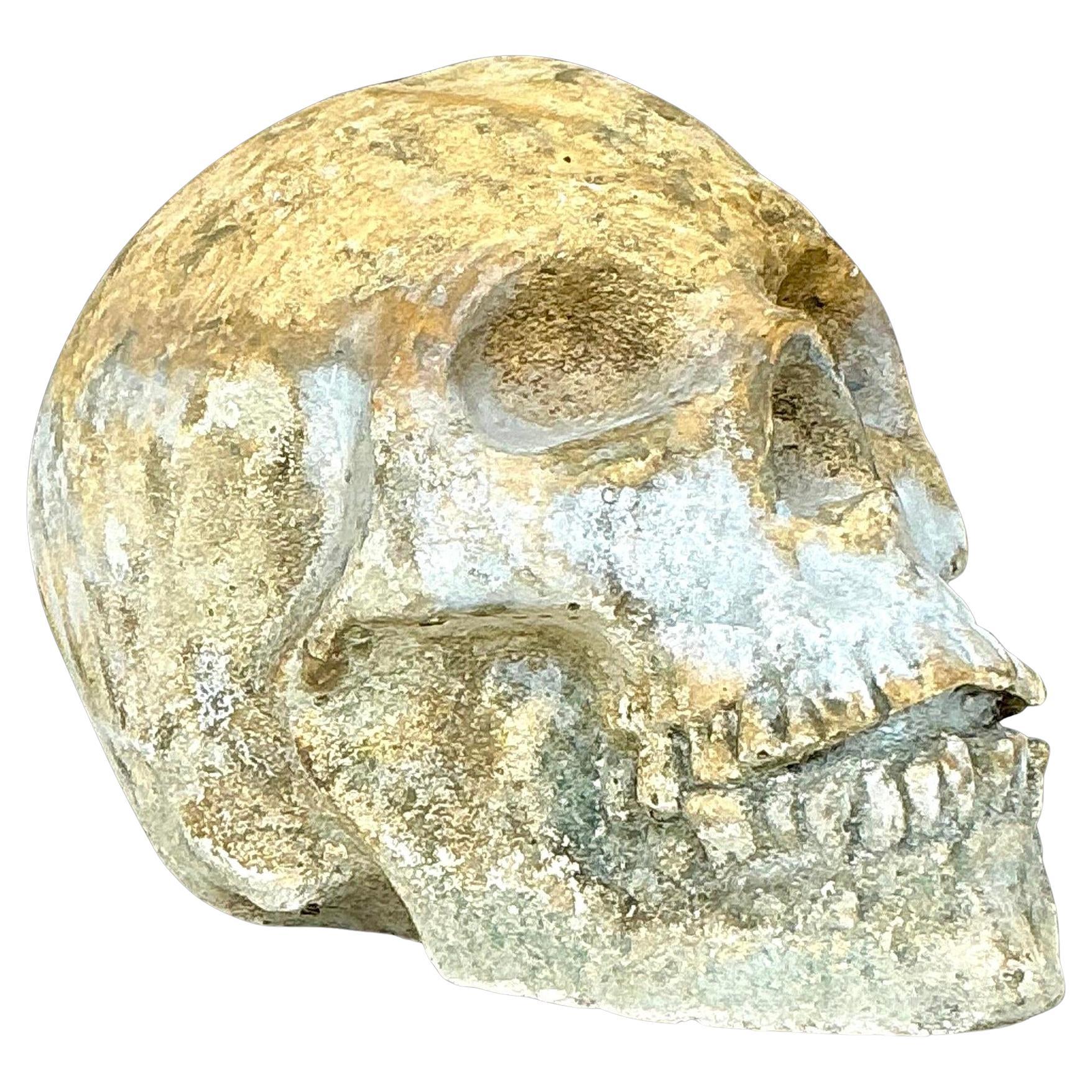 Calavera Vintage Boho de Hormigón Fundido