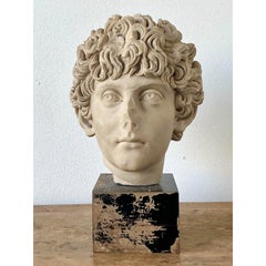 Vintage Boho Cast Marble Bust of Marcus Aurelius