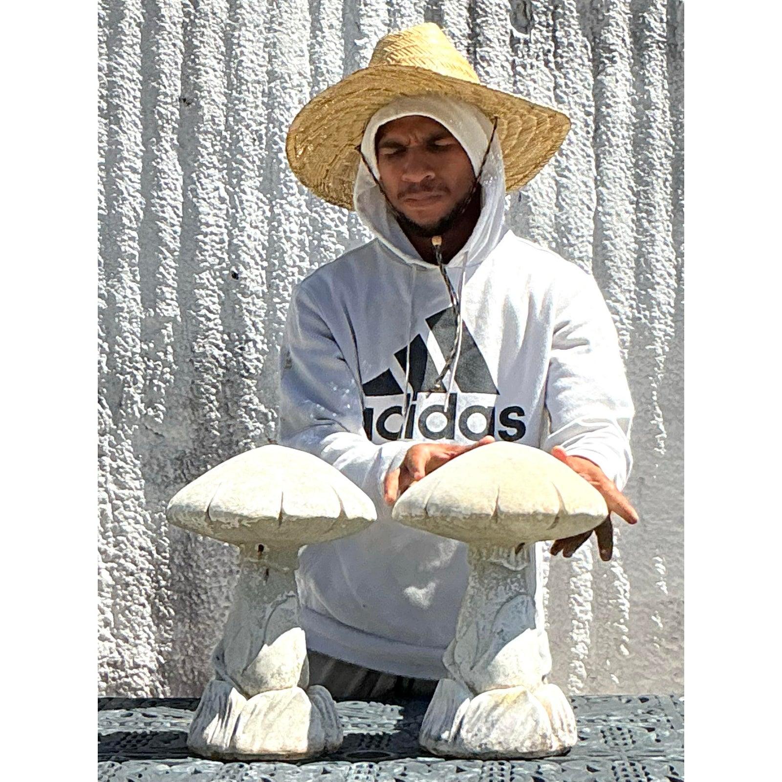 Vintage Boho Cast Stone Mushrooms - A Pair In Good Condition For Sale In West Palm Beach, FL