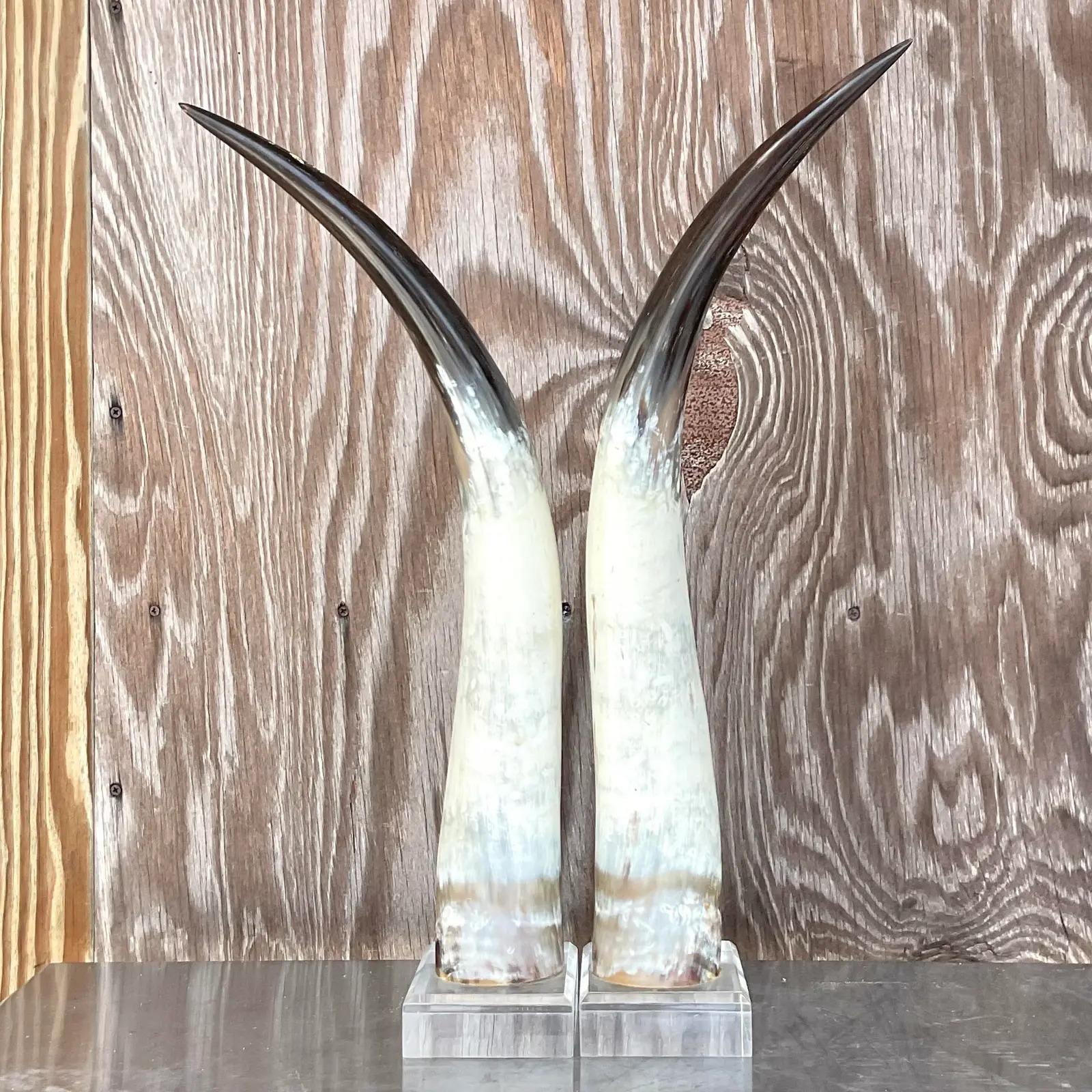 Fabulous pair of vintage Boho Horns. Custom built on lucite with lots a beautiful natural color variation. Acquired from a Palm Beach estate.