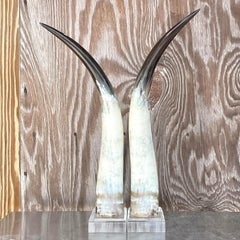 Vintage Boho Custom Horns on Lucite - a Pair