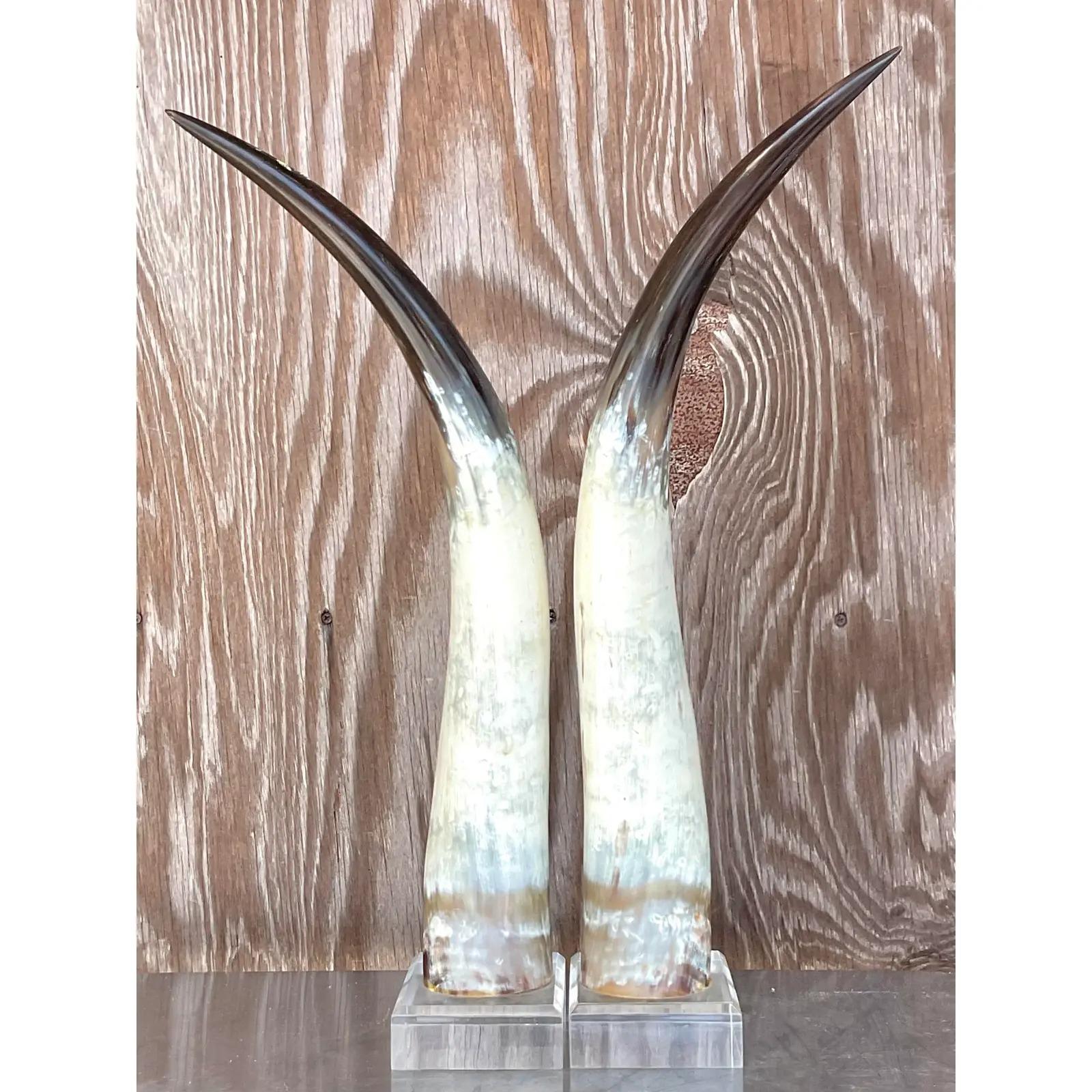 North American Vintage Boho Custom Horns on Lucite - a Pair For Sale