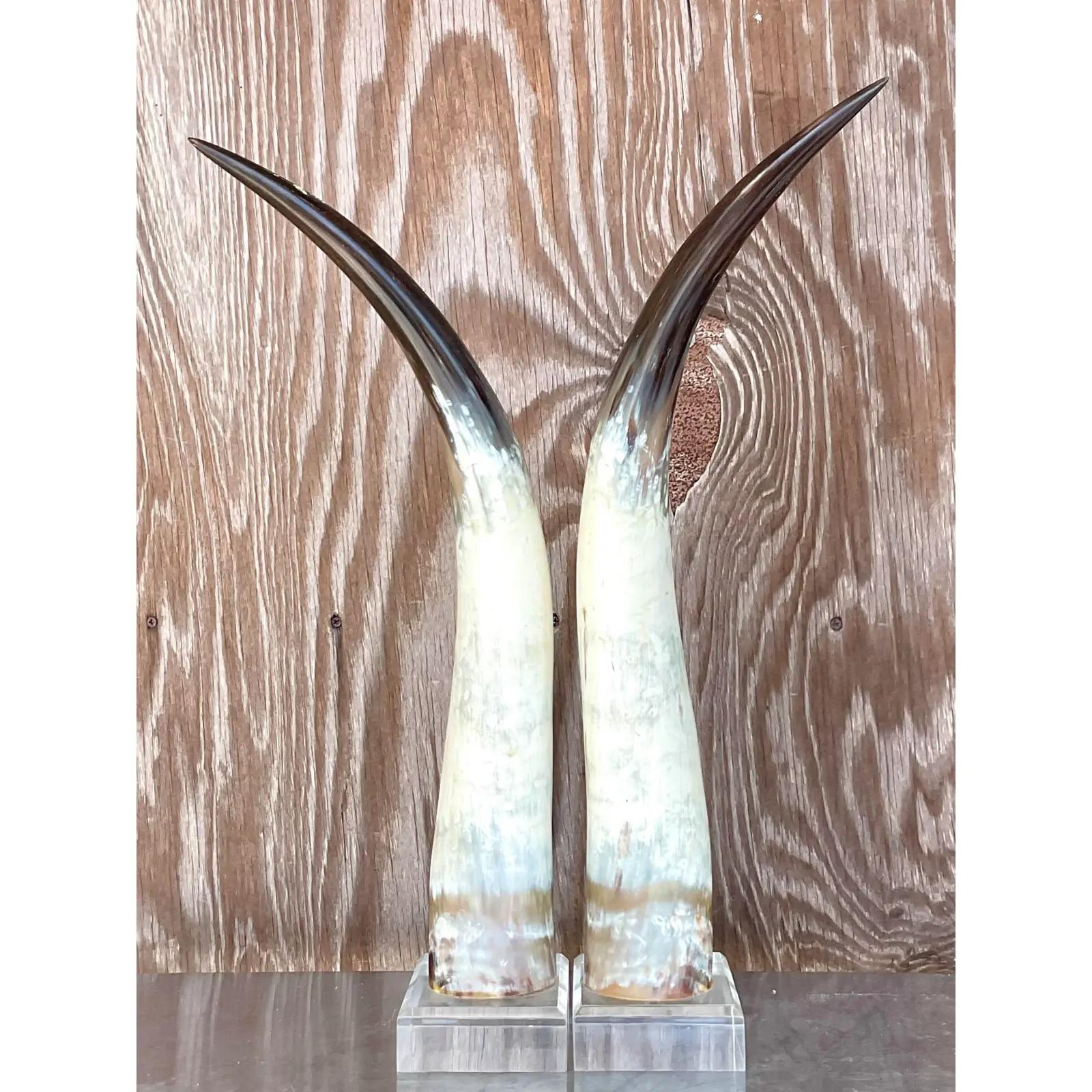 20th Century Vintage Boho Custom Horns on Lucite - a Pair For Sale