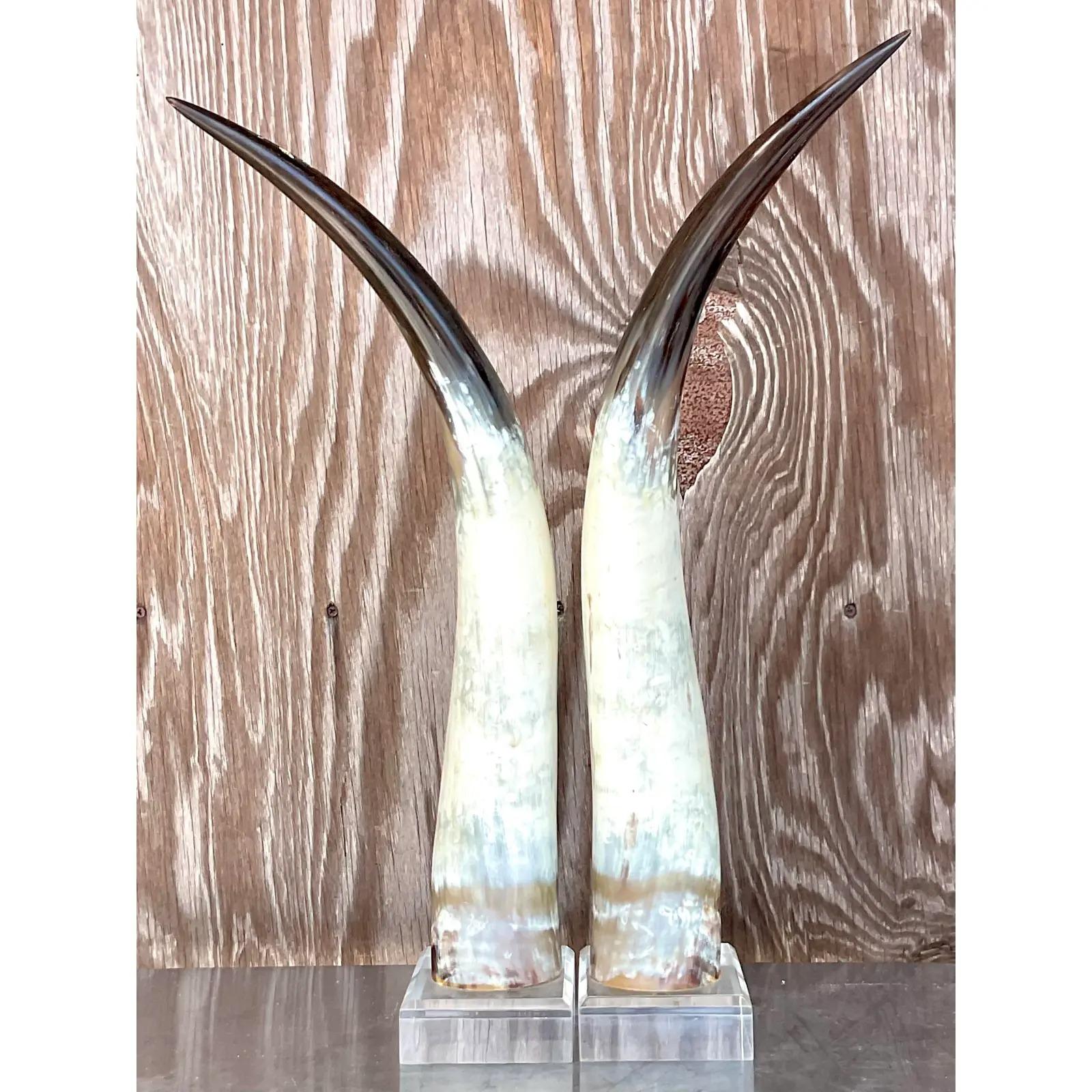 Vintage Boho Custom Horns on Lucite - a Pair For Sale 1