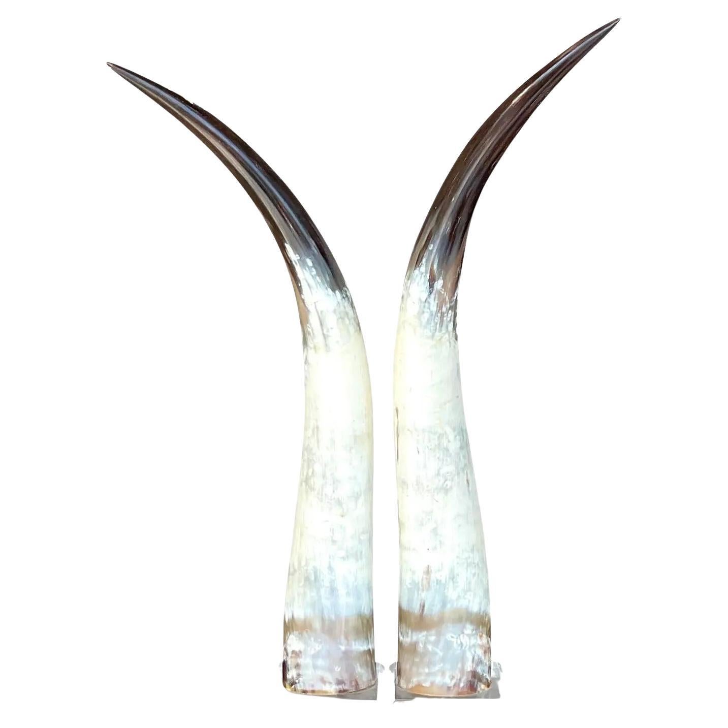 Vintage Boho Custom Horns on Lucite - a Pair For Sale
